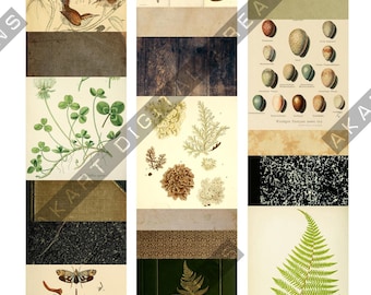 Collage Strips Vintage NATURALIST - Botanical Scrapbooking and Junk Journaling Ephemera