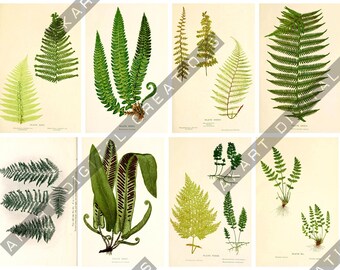 Vintage Botanical Cards - Scrapbooking and Junk Journaling Ephemera