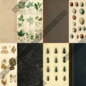 Vintage Backdrops NATURALIST - 42 Printable Background Papers For Scrapbooking and Junk Journaling 6x10" image 20