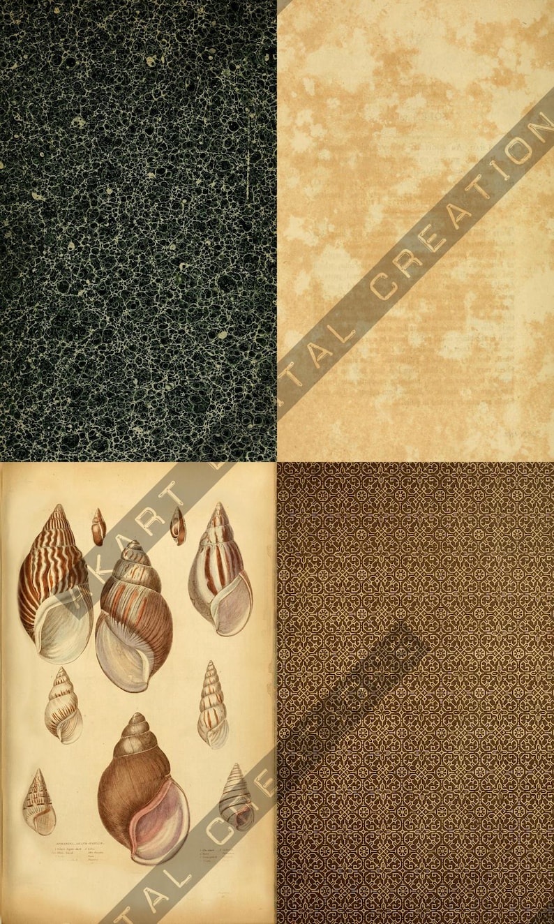 Vintage Backdrops NATURALIST - 42 Printable Background Papers For Scrapbooking and Junk Journaling 6x10" image 10