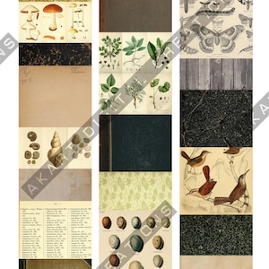 May include: A collage of vintage-style illustrations and textures. The image includes botanical drawings of mushrooms, leaves, and birds, along with images of seashells, eggs, and book covers. The color palette is muted with earthy tones.