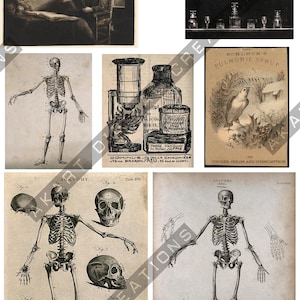 May include: A collage of vintage medical illustrations and prints. The images include anatomical drawings of skeletons, a drawing of a doctor with a patient, and illustrations of apothecary bottles and a bird. The text includes "ANATOMY" and "SCHUNCK'S PULMONIC SYRUP".