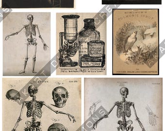 Victorian Apothecary Ephemera: Spooky Anatomy Prints for Junk Journals (A4 300dpi JPG Digital Download)