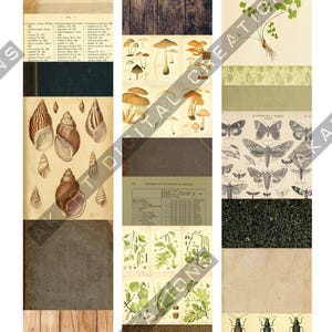 May include: A collage of vintage botanical illustrations and textures. Includes images of mushrooms, seashells, butterflies, and beetles. Also features wood grain, aged paper, and a dark green patterned background.