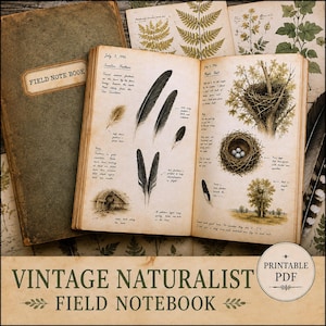 May include: A vintage field notebook with a weathered green cover and an open page displaying detailed ink illustrations of swallow feathers, a bird nest in a maple tree, and four pale blue eggs, accompanied by handwritten notes dated July 3, 1946.