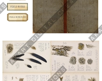 Vintage Naturalist Field Notebook Printable - Botanical Nature Journal | Digital Download