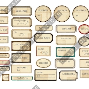 Puede incluir: Una colecci&oacute;n de etiquetas de espec&iacute;menes y notas de campo de estilo vintage. Las etiquetas son principalmente beige con texto negro, algunas con acentos rojos o verdes. El texto incluye "SPECIMEN", "FIELD NOTES" y n&uacute;meros.