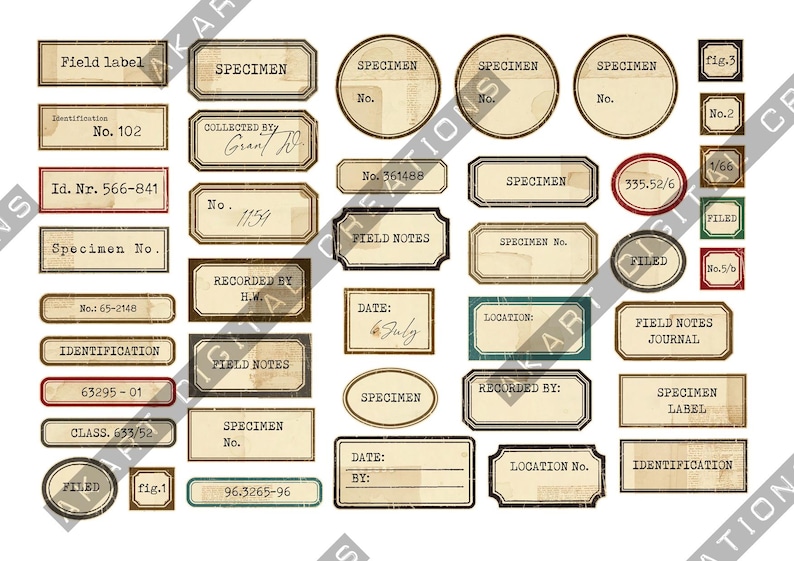 Puede incluir: Una colecci&oacute;n de etiquetas de espec&iacute;menes y notas de campo de estilo vintage. Las etiquetas son principalmente beige con texto negro, algunas con acentos rojos o verdes. El texto incluye "SPECIMEN", "FIELD NOTES" y n&uacute;meros.