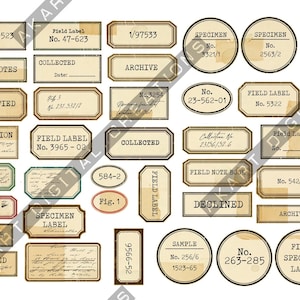 Könnte beinhalten: Eine Sammlung von Etiketten im Vintage-Stil in verschiedenen Formen und Größen. Die Etiketten enthalten Texte wie "Field Label", "Specimen" und Nummern. Die Farbpalette umfasst Brauntöne, Beige und Creme mit einem verwitterten, gealterten Aussehen.