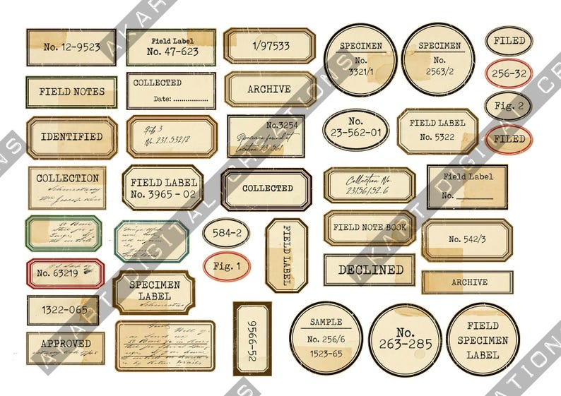 Puede incluir: Una colecci&oacute;n de etiquetas de estilo vintage con varias formas y tama&ntilde;os. Las etiquetas presentan texto como "Field Label", "Specimen" y n&uacute;meros. La paleta de colores incluye tonos de marr&oacute;n, beige y crema, con una apariencia envejecida.