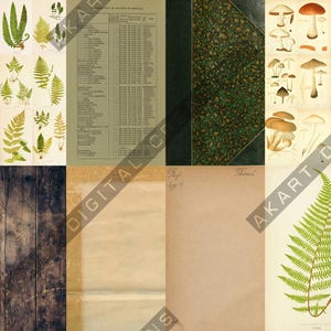 Vintage Backdrops NATURALIST - 42 Printable Background Papers For Scrapbooking and Junk Journaling 6x10" image 16
