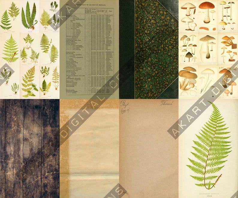 Vintage Backdrops NATURALIST - 42 Printable Background Papers For Scrapbooking and Junk Journaling 6x10" image 16