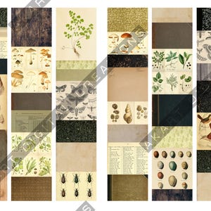 May include: A collage of vintage-style botanical and natural history illustrations. The images include mushrooms, insects, seashells, butterflies, and plant diagrams. The color palette is muted, with browns, greens, and beige tones.