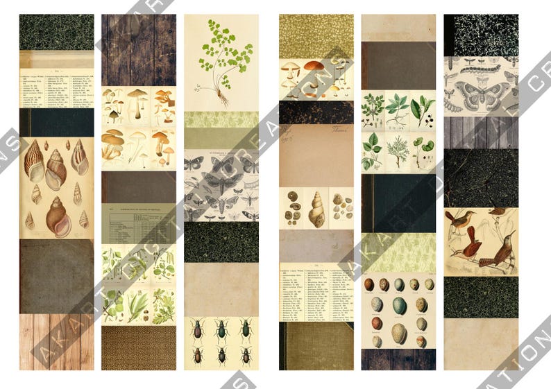 May include: A collage of vintage-style botanical and natural history illustrations. The images include mushrooms, insects, seashells, butterflies, and plant diagrams. The color palette is muted, with browns, greens, and beige tones.