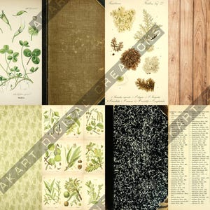 Vintage Backdrops NATURALIST - 42 Printable Background Papers For Scrapbooking and Junk Journaling 6x10" image 18