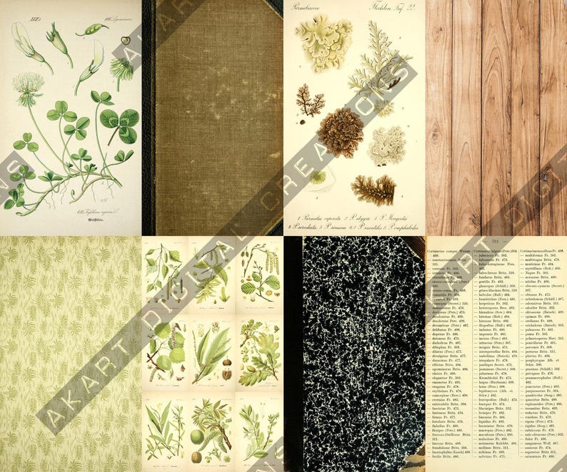 Vintage Backdrops NATURALIST - 42 Printable Background Papers For Scrapbooking and Junk Journaling 6x10" image 18