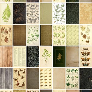 May include: A collage of vintage botanical illustrations and textures. The images include detailed drawings of ferns, mushrooms, butterflies, and shells, alongside wood grain and aged paper backgrounds. The color palette is dominated by greens, browns, and creams.