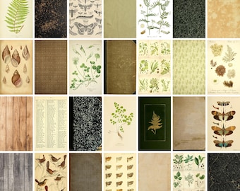 Vintage Backdrops NATURALIST - 42 Printable Background Papers For Scrapbooking and Junk Journaling 6x10"