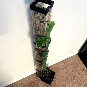 Moss Post: Extendable Square Moss Pole
