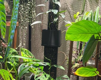 May include: A vertical plant stand with a black metal frame and a black plastic pot. The stand is filled with a variety of green plants, including a heart-shaped leaf plant and a monstera plant.