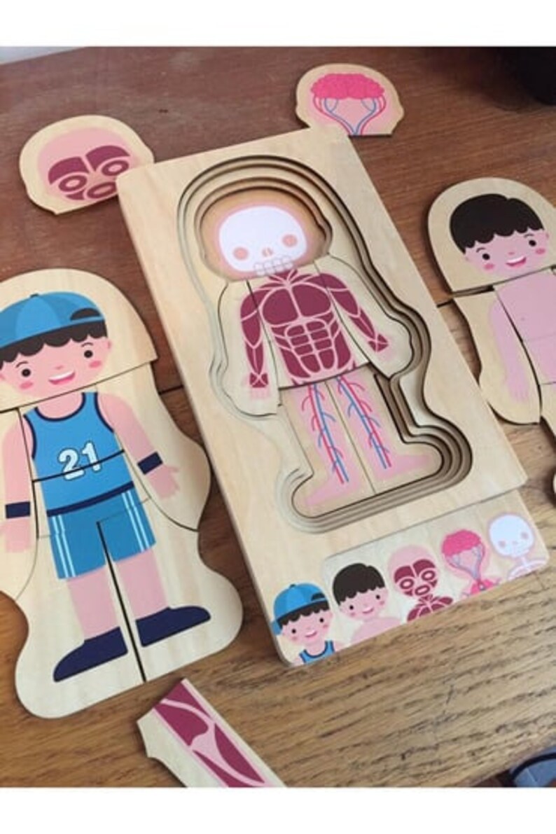 Educational Wooden Human Body Layered Puzzle Anatomical Discovery Set ...