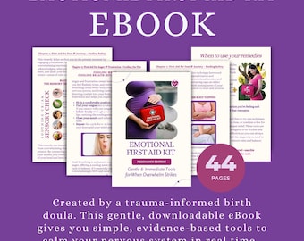 Pregnancy Emotional Support Ebook: Mental Health Toolkit (PDF)