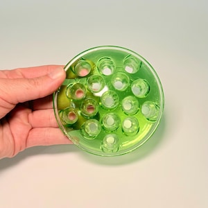 May include: A circular, translucent lime green glass flower frog featuring multiple cylindrical openings arranged across its surface. This decorative floral arrangement tool is designed with a smooth, rounded edge and a flat base for stability.