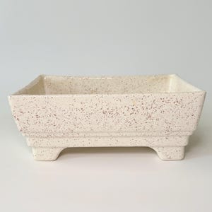 May include: A rectangular, cream-coloured ceramic planter with a speckled pattern. The planter has a stepped design and sits on four small feet. The speckled pattern features small, reddish-brown dots.