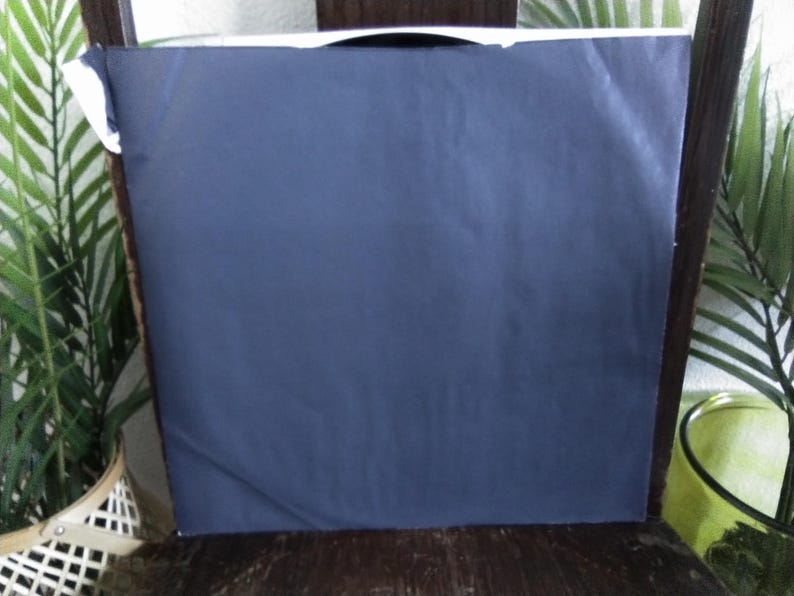 May include: A navy blue, rectangular object, possibly a package or artwork, is placed on a wooden chair. The object is wrapped in a smooth, dark blue material. Green plants are visible on either side of the chair.