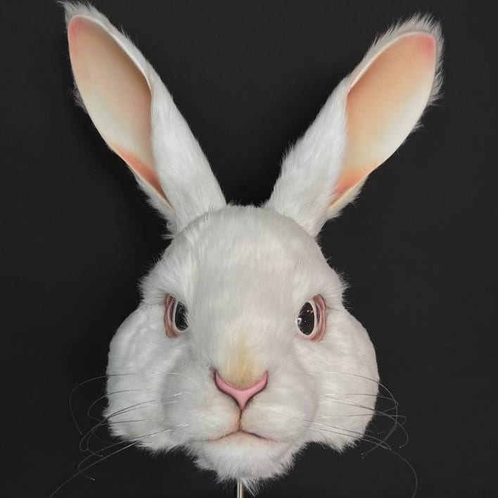 The White Rabbit helmet mask