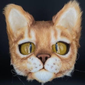 Ginger Cat mask (helmet)