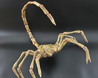 Facehugger Replica, 1:1 Size Alien Face Hugger Replica, Articulated Alien Face Hugger,  Alien Movie Prop, Scary Hallowee
