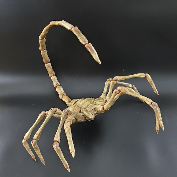 Facehugger Replica, 1:1 Size Alien Face Hugger Replica, Articulated Alien Face Hugger,  Alien Movie Prop, Scary Hallowee