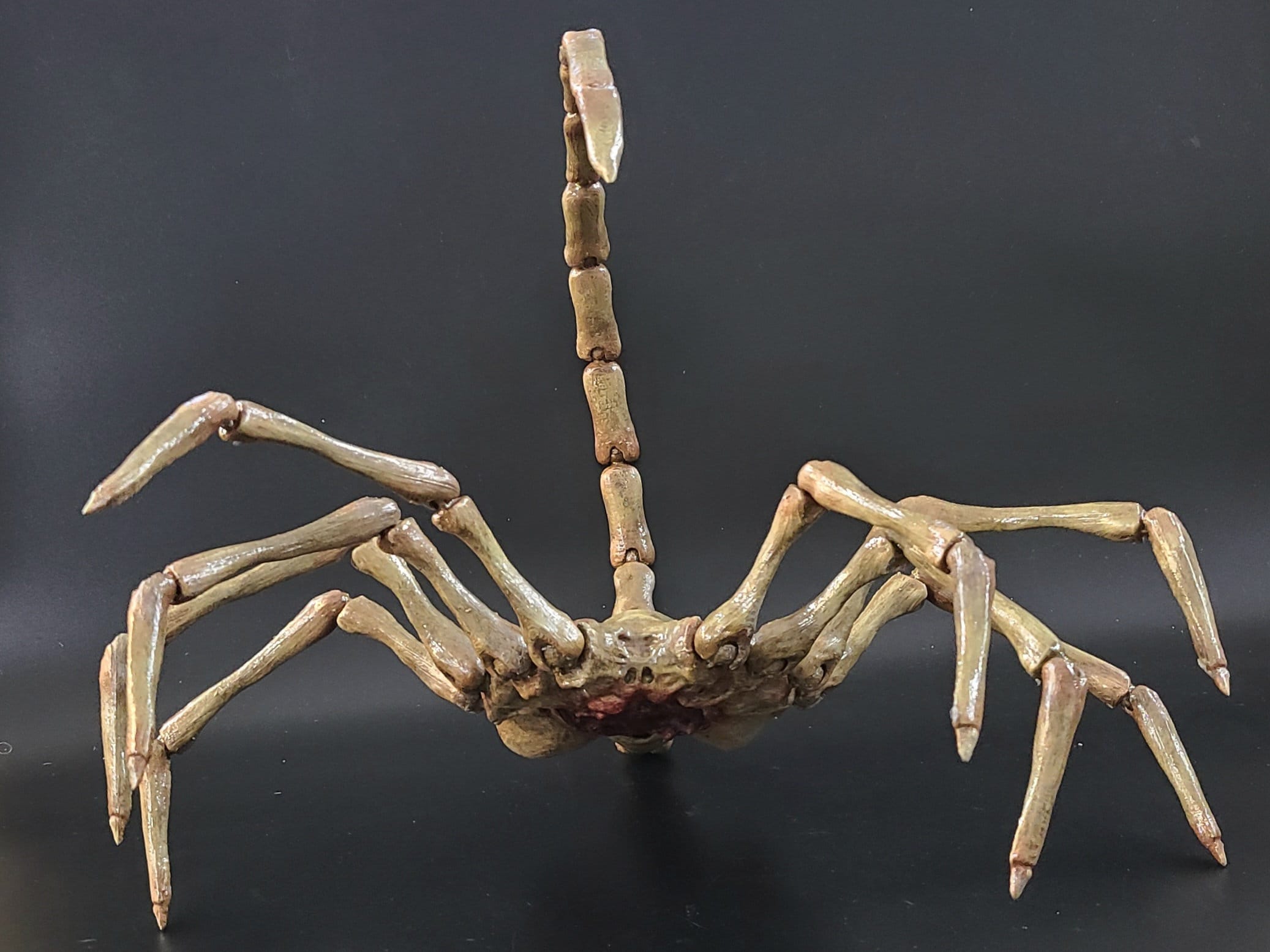 アオシマ フェイスハガー ALIEN 1/1 scale Face Hugger New NECA Aliens Facehugger 1:1 Scale Life Size Foam Replica