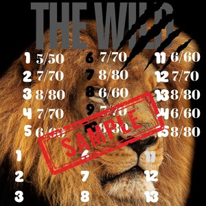 The Wild Bingo Board 15 Line PYP