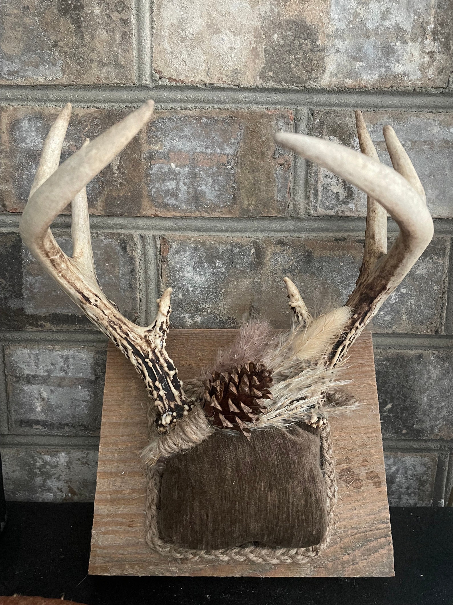 Image showcasing Antler Wall Art Home Decor Rustic Eco Friendly Jewelry Display White ...