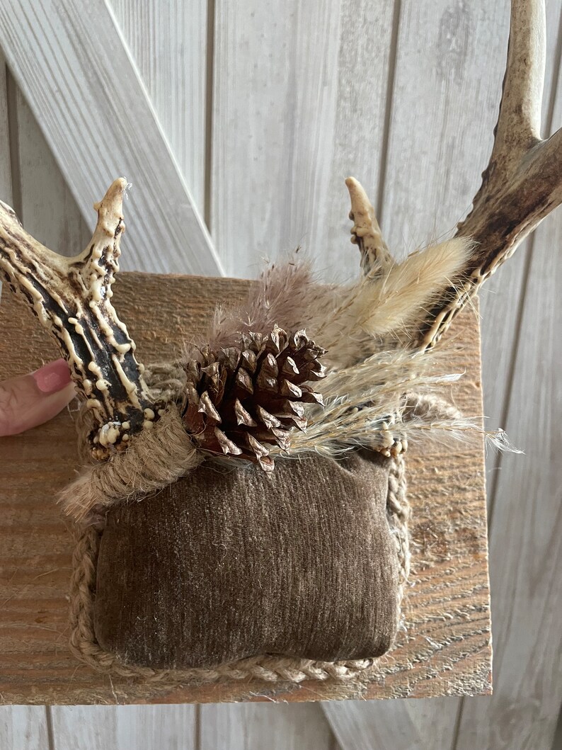 Antler Wall Art Home Decor Rustic Eco Friendly Jewelry Display White ...
