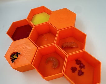 Beehive construction // Honeycomb model // Children's courses or beekeeping courses // Game set