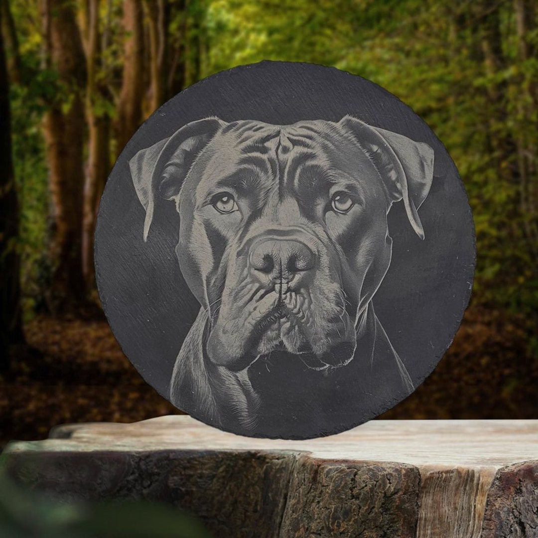 Cane Corso Gravur Molosser Antik Dogge Schieferplatte Deko Ital