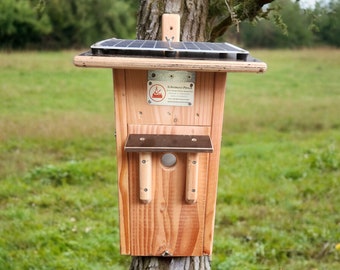 Nesting box with camera and heater