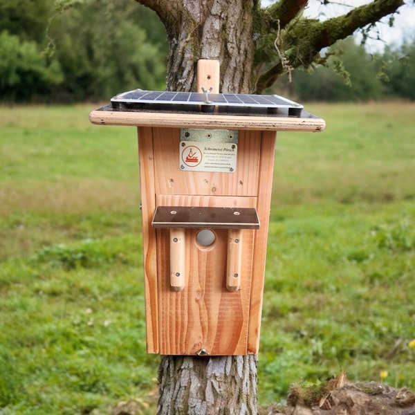 Nistkasten mit Kamera und Heizung