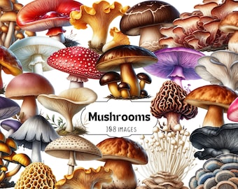 Clipart paddestoelen: realistische png-set voor bospaddestoelen (digitale download)