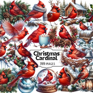 Clipart Cardinal de Noël - oiseau rouge festif PNG, art Cardinal d'hiver, graphiques d'oiseaux de vacances, art numérique Cardinal dans la neige