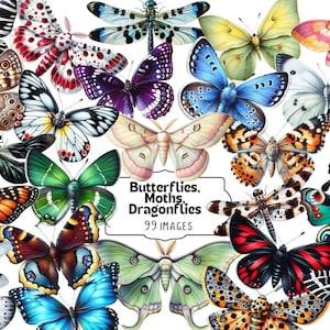 Schmetterlinge Clipart, Motten Clipart, Libellen Clipart, PNG, Aquarell Insekten, Natur, Illustration, Schmetterling Grafiken, digitaler Download