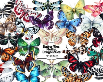 Butterflies clipart, Moths clipart, Dragonflies Clipart, PNG, watercolor insects, nature, illustration, butterfly graphics, digital download