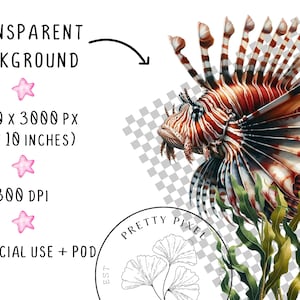 May include: A digital illustration of a red and white lionfish with green seaweed, on a transparent background. The lionfish has a large, spiky fin and a long, thin body. The seaweed is flowing in the water.
