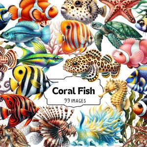 Coral Fish Clipart Set - tropische vissen en koraal PNG, mariene leven digitale kunst, onderwaterwezens, Ocean Reef Graphics