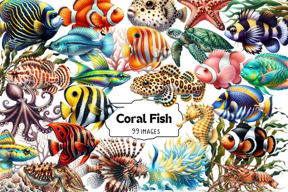 Tropical Fish Clipart Set: Coral Reef PNG Graphics (Digital Download)