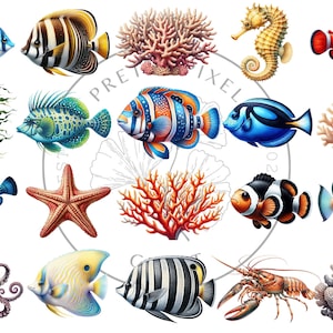 May include: A colorful illustration of various sea creatures and coral reefs. The illustration features a blue and yellow angelfish, a black and white angelfish, a blue and green fish, a red and white clownfish, a blue and black fish, a yellow and orange seahorse, a starfish, a red coral, a brown coral, a purple octopus, a yellow and blue fish, a black and white striped fish, a red and white lobster, and a blue and black fish.