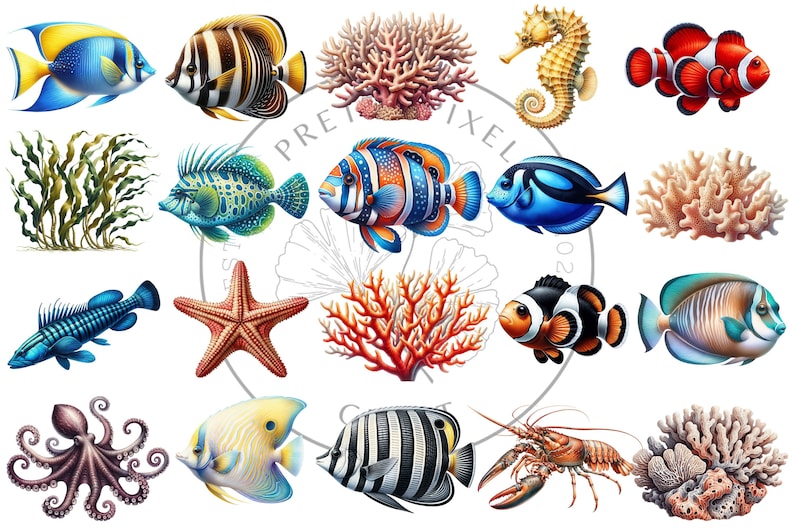 May include: A colorful illustration of various sea creatures and coral reefs. The illustration features a blue and yellow angelfish, a black and white angelfish, a blue and green fish, a red and white clownfish, a blue and black fish, a yellow and orange seahorse, a starfish, a red coral, a brown coral, a purple octopus, a yellow and blue fish, a black and white striped fish, a red and white lobster, and a blue and black fish.
